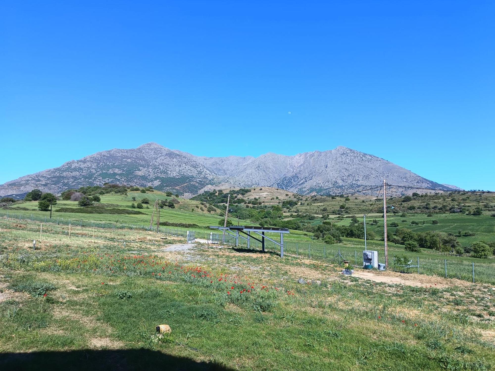 Pezoulia Cottages Samothráki المظهر الخارجي الصورة